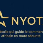 Logo of Nyota, Diversified services venture on VC4A