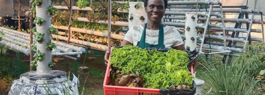 Cover image of Urban Greens Ltd, Agribusiness venture on VC4A