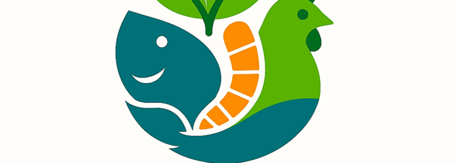 Cover image of Biofafeed, Animal farming venture on VC4A