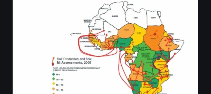 Cover image of Tumanisalt Enterprise, Food production venture on VC4A