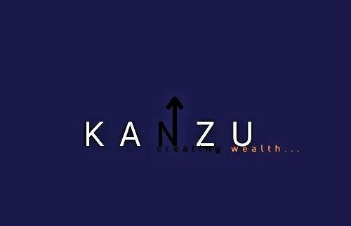 Cover image of KANZU, Agribusiness venture on VC4A