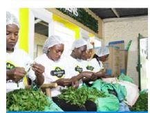 Cover image of Nyumbani Greens, Agribusiness venture on VC4A
