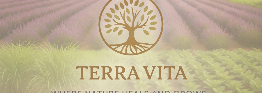 Cover image of Terra Vita Eco farm and B&B, Agribusiness venture on VC4A