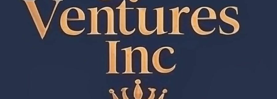 Cover image of Royal ventures Inc, Computer hardware venture on VC4A