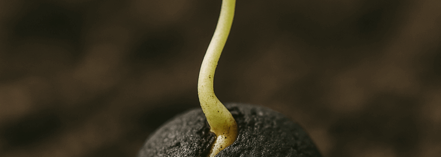 Cover image of Rangelands Reseeding Solutions, Circular Economy venture on VC4A