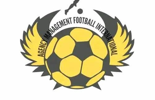 Cover image of Agency Management Football International, Investment management venture on VC4A