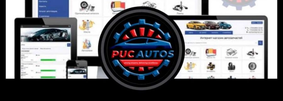 Cover image of PUC AUTO System, Automoción venture on VC4A