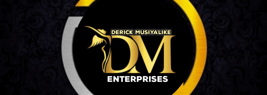 Cover image of Derick Musiyalike Enterprises, Business services venture on VC4A