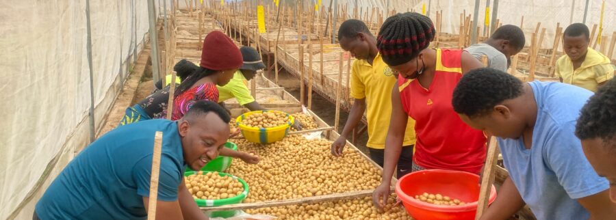 Cover image of Bountiful Farmers ltd, Agro-industrie venture on VC4A