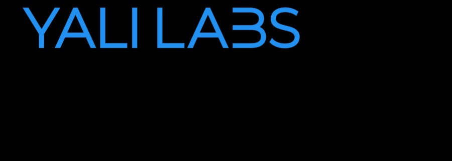 Cover image of Yali Labs, Artificial intelligence venture on VC4A