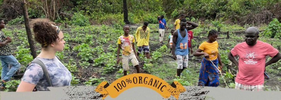 Cover image of The UnNamed Farm LTD., Agribusiness venture on VC4A