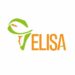 Partner Organization ELISA Business Network image of ELISA Logo