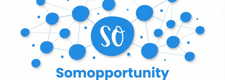 Cover image of Somopportunity, Connectivity venture on VC4A