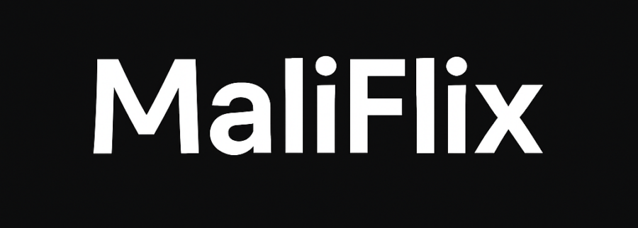 Cover image of MaliFlix, Software informático venture on VC4A