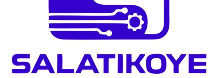 Cover image of Salatikoye Transit, Diversified services venture on VC4A