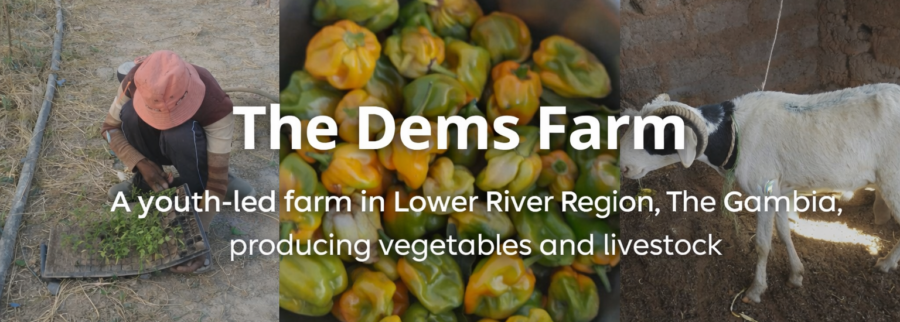 Cover image of The Dems Farm, Agribusiness venture on VC4A