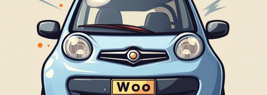 Cover image of Woo, Information technology venture on VC4A