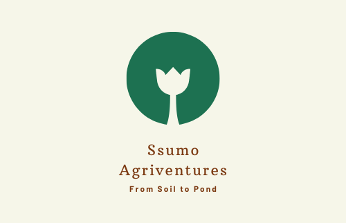 Cover image of Ssumo Agriventures, Agribusiness venture on VC4A