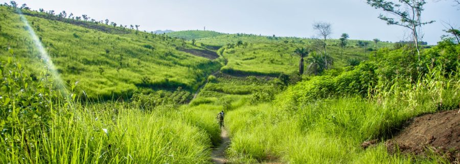 Cover image of Ngandu Estate Management, Agribusiness venture on VC4A