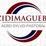 Venture Profile Zidimagueba image of IMG WA