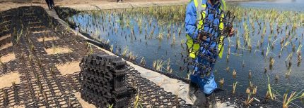 Venture Profile Omiflo Limited image of OLTEPESI PLANTS PROJECT