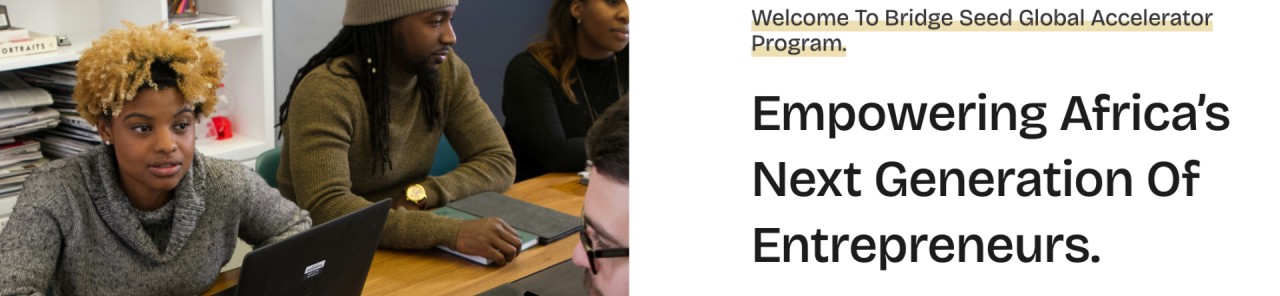 Bridge Seed Global Impact Accelerator