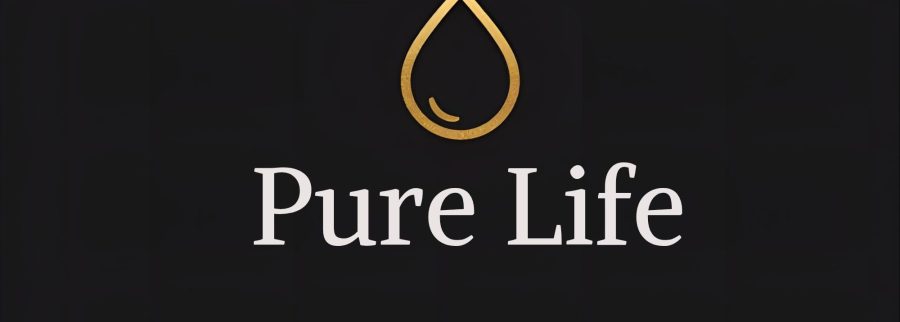 Cover image of Pure Life, Food and beverage venture on VC4A