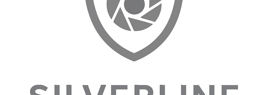 Cover image of Silverline Security, Adtech venture on VC4A