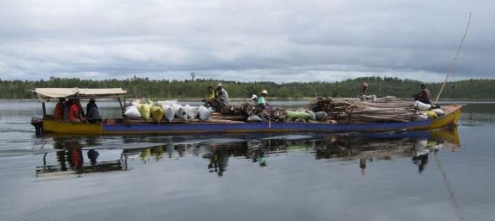 Cover image of Siramamy – Production de sucre Madagascar, Agribusiness venture on VC4A