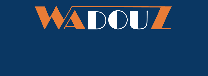 Cover image of Wadouz, E-commerce venture on VC4A