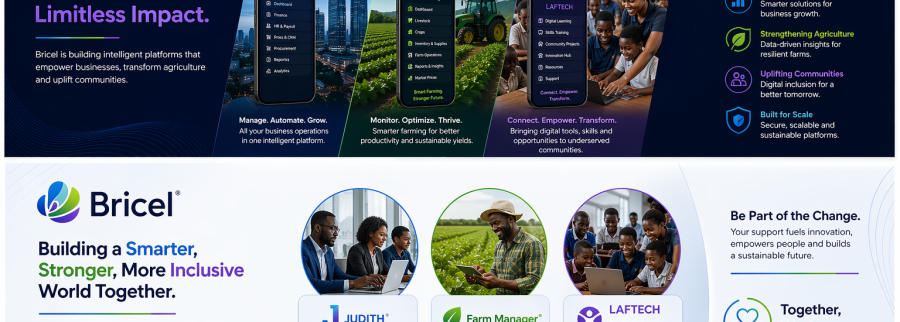 Cover image of Bricel (Pty) Ltd, Agribusiness venture on VC4A