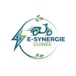 Venture Profile E-Synergie Guinée image of Gemini Generated Image G X G X G X