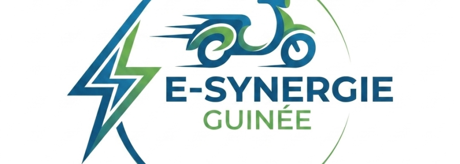 Cover image of E-Synergie Guinée, Renewable energy venture on VC4A