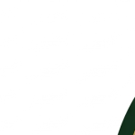 Logo of Aikon Farms, Agribusiness venture on VC4A