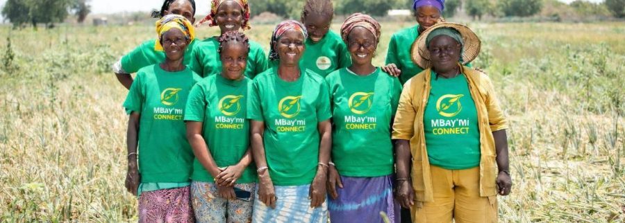 Cover image of Mbay'Mi Connect, Agribusiness venture on VC4A
