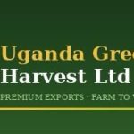 Logo of Uganda Green Harvest Ltd, Agribusiness venture on VC4A