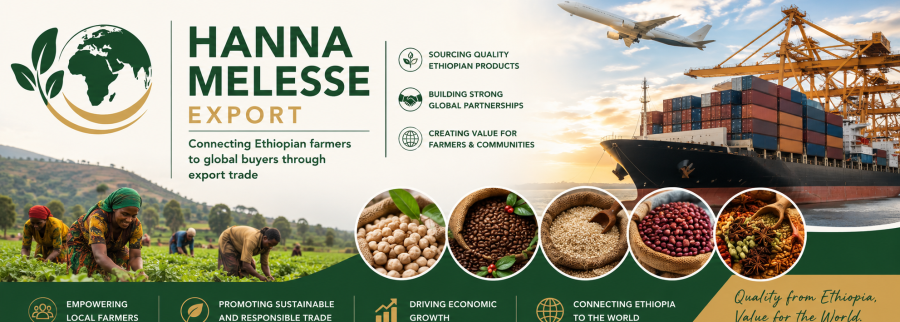 Cover image of Hanna Melesse Export, Import and export venture on VC4A