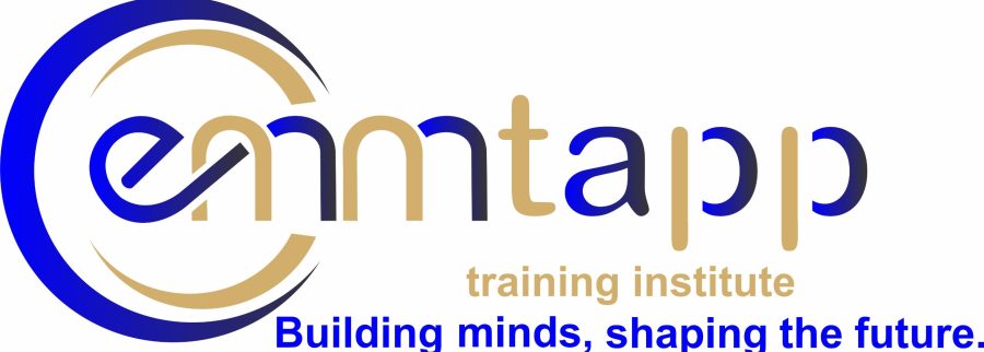 Cover image of Emmtapp Training Institute, Consulting and business development venture on VC4A