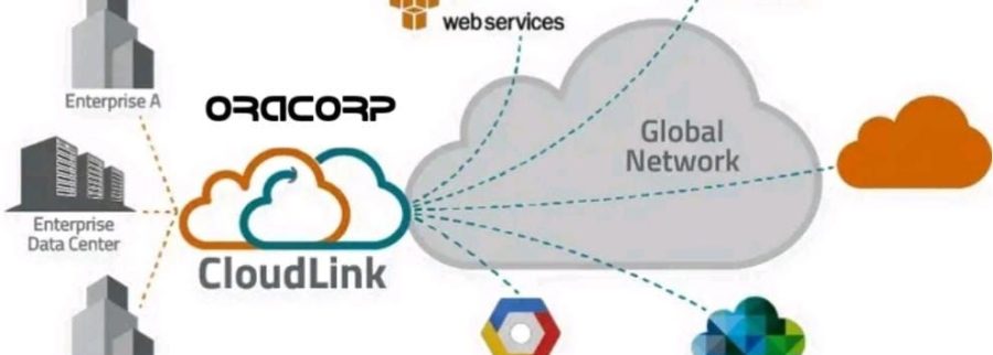 Cover image of Oracorp, Financial services venture on VC4A