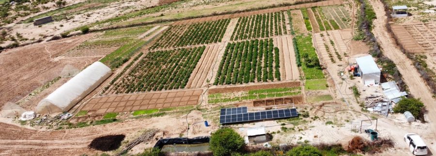 Cover image of Ruman Farms, Agribusiness venture on VC4A