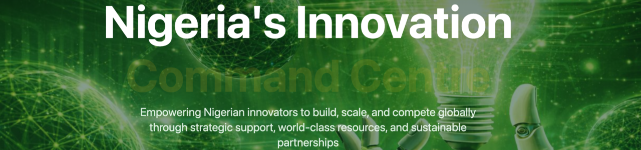 Office for Nigerian Digital Innovation (ONDI)