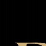 Logo of Drink Domain Enterprise, Food and beverage venture on VC4A