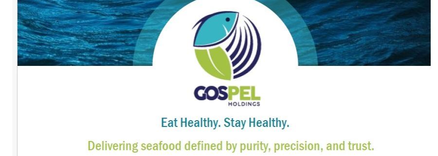 Cover image of Goespel Holdings (Pvt) Limited, Consulting and business development venture on VC4A