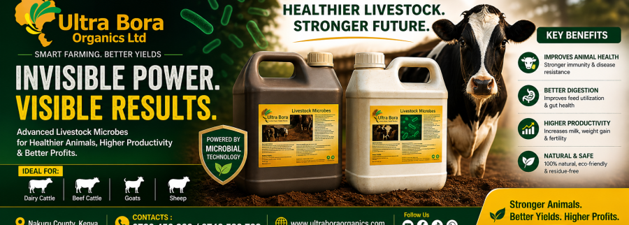 Cover image of Ultra bora organics ltd, Agribusiness venture on VC4A