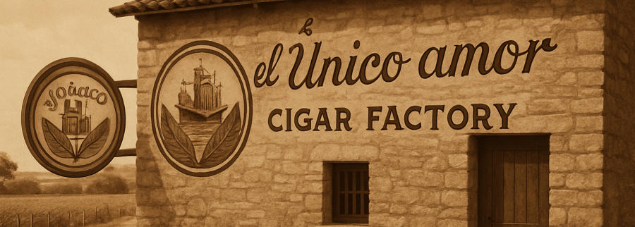 Cover image of EL Ўnico amor, Import and export venture on VC4A