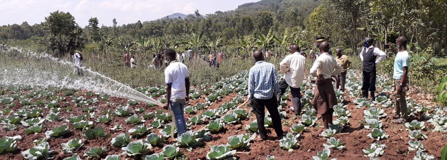 Cover image of H2grow Innovations Uganda, Agribusiness venture on VC4A