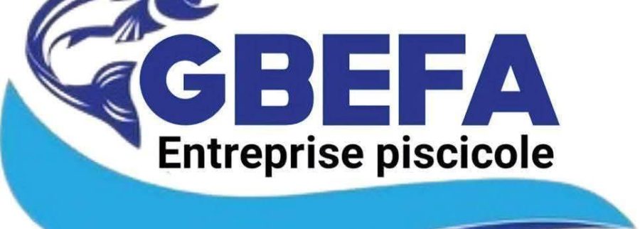 Cover image of GBEFA Entreprise Piscicole, Fish farming venture on VC4A
