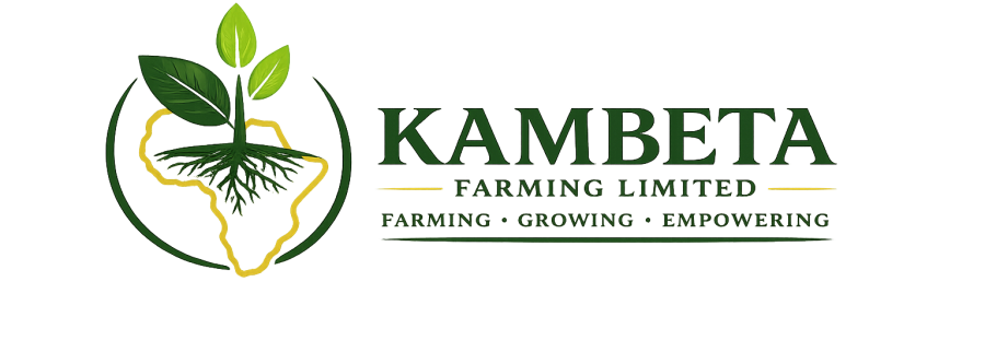 Cover image of Kambeta Farming Limited, Agribusiness venture on VC4A