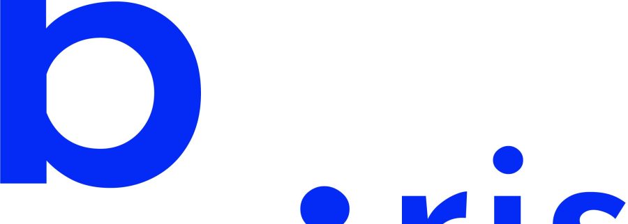 Cover image of Biris Tech, Enterprise software venture on VC4A