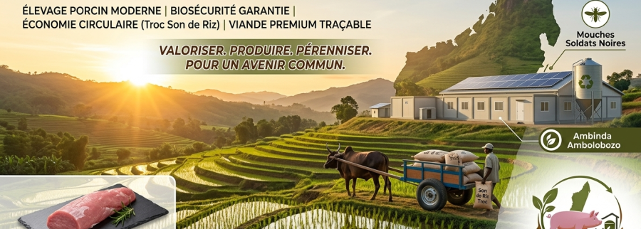 Cover image of Mada Agro Farm, Animal farming venture on VC4A